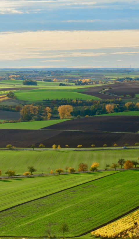 Landwirtschaft